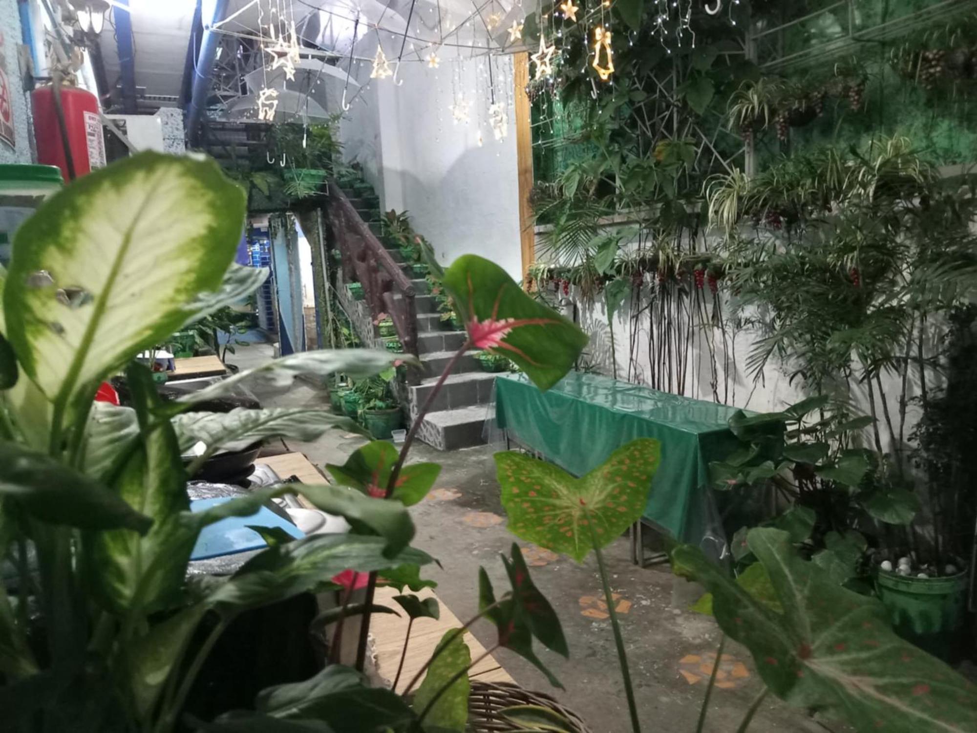 丹尼尔斯广场酒店 安吉利斯 外观 照片